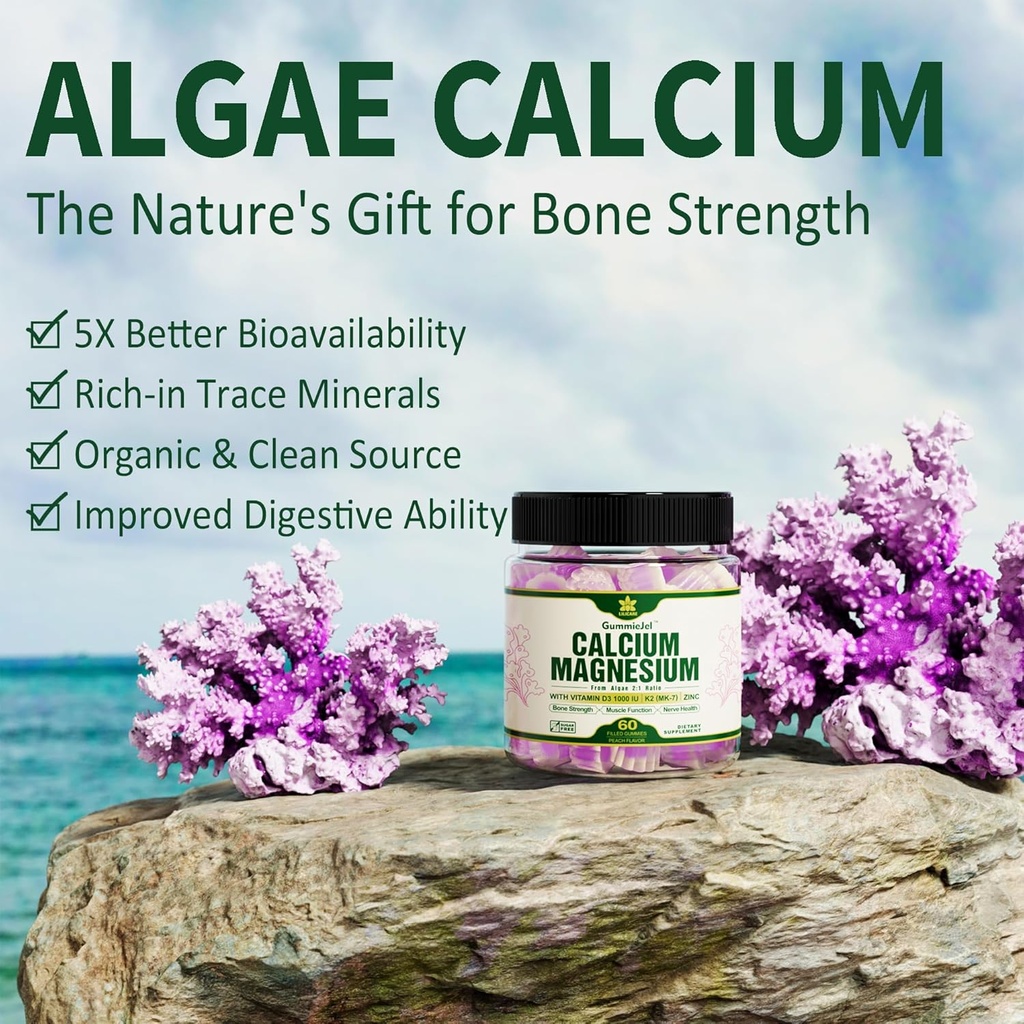 Bundle - Glucosamine Chondroitin MSM + Algae Calcium 6