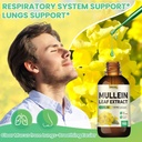 Mullein Drops for Lungs Supplement: Organic Mullein Leaf 30:1 Extract Tincture with Chlorophyll - Herbal Supplement Support Lung Cleanse & Respiratory Function - Non-GMO, Vegan - 4 Fl Oz 5