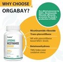 Orgabay Liposomal Nicotinamide Riboside 2000 MG with TMG and Pterostilbene, Boosting NAD+, Support Healthy Aging, 180 Count 6