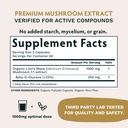 TRIBE ORGANICS Life Mastery Bundle – Organic KSM-66 Ashwagandha + Boswellia Complex + Curcumin C3 Complex + Organic Lions Mane + Organic Moringa 6