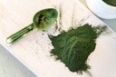 Food to Live Organic Chlorella Powder, 8 Pounds — Non-GMO, Kosher, Raw Green Algae, Vegan Superfood, Bulk, Pure Vegan Green Protein, Rich in Vitamins and Minerals, Great for Drinks, Broken Cell Wall 6