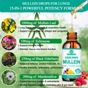Mullein Drops for Lungs, Organic Mullein Leaf Extract w/Elderberry Echinacea Drops for Lung Health Mullein Leaf Tincture Alcohol Free - Lung Detox for Smoker Sinus Immunity & Respiratory Support 3