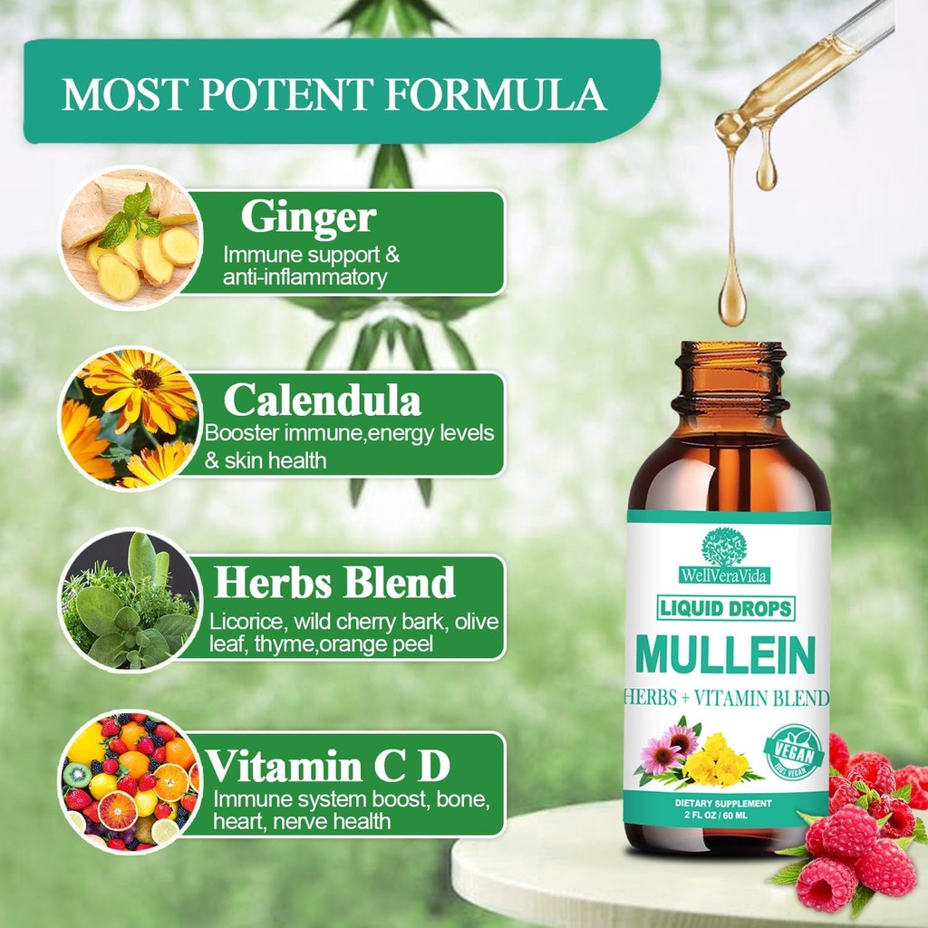Mullein Drops for Lungs, Organic Mullein Leaf Extract w/Elderberry Echinacea Drops for Lung Health Mullein Leaf Tincture Alcohol Free - Lung Detox for Smoker Sinus Immunity & Respiratory Support 4