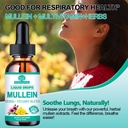 Mullein Drops for Lungs, Organic Mullein Leaf Extract w/Elderberry Echinacea Drops for Lung Health Mullein Leaf Tincture Alcohol Free - Lung Detox for Smoker Sinus Immunity & Respiratory Support 6