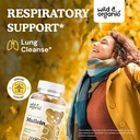 Wild & Organic Mullein Tincture 4 fl oz & Mullein Gummies 60 Count 6