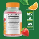 Lifeable Zinc 25mg Kids + Probiotics 5 Billion Kids, Gummies Bundle - Great Tasting, Vitamin Supplement, Gluten Free, GMO Free, Chewable Gummy 4