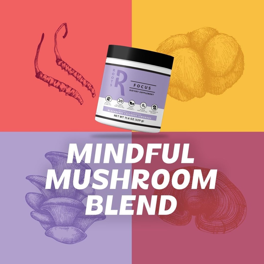 Silver Star Nutrition, Roots Focus Nootropic Brain Supplement - Strawberry Watermelon & Spicy Pineapple- Lion's Mane, Cordyceps, & Reishi Functional Mushrooms + Extended-Release Caffeine, 100 Servings 3