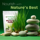 Z Natural Foods Organic Wheatgrass Powder, Green Superfood Powder for Smoothies, Juices, Shakes, and Recipes, Nutrient-Rich Powder, 100% Pure, Raw, Non-GMO, Vegan, Gluten-Free, 87 Servings, 1 lb 4