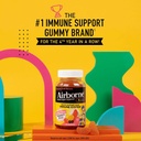 Airborne Vitamin C 500mg (per Serving) Kids Assorted Fruit Flavored Gummies (42 Count in a Bottle), Gluten-Free Immune Support Supplement with Vitamins A C E, Selenium, Echinacea & Ginger 3