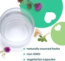 UpSpring Milkflow Lactation Supplement for Milk Supply Increase, Breastfeeding Supplements with Fenugreek & Blessed Thistle, Non-GMO, Lactation Support 100 Vegan Capsules 4