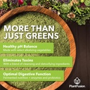 PlantFusion Alkalizing Super Greens Powder - Fermented Greens Superfood Powder Blend with Digestive Enzymes Probiotics & Prebiotic Fiber - Organic, Non-GMO, Vegan, Gluten-Free - 8.46 oz 30 Servings 4