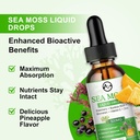 Sea Moss Liquid Drops - Irish Sea Moss 2000mg with Elderberry, Burdock Root, Bromelain, Vitamin C and Zinc - 98 Essential Minerals Seamoss Supplement for Immune, Joint, Digestion, Aging Support - 2oz 3