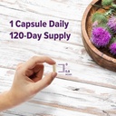 ORZAX Milk Thistle Plus with Dandelion and Artichoke 120 Vegatable Capsules and Elderberry Capsules 2000mg Sambucus, Bundle 6