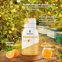 BEE and You Bundle: Propolis Shot with Vitamin C, D3 and Zinc with Propolis Raw Honey Throat Spray, Ultra Pure, 100% Natural, Immune Support, Superfood 3