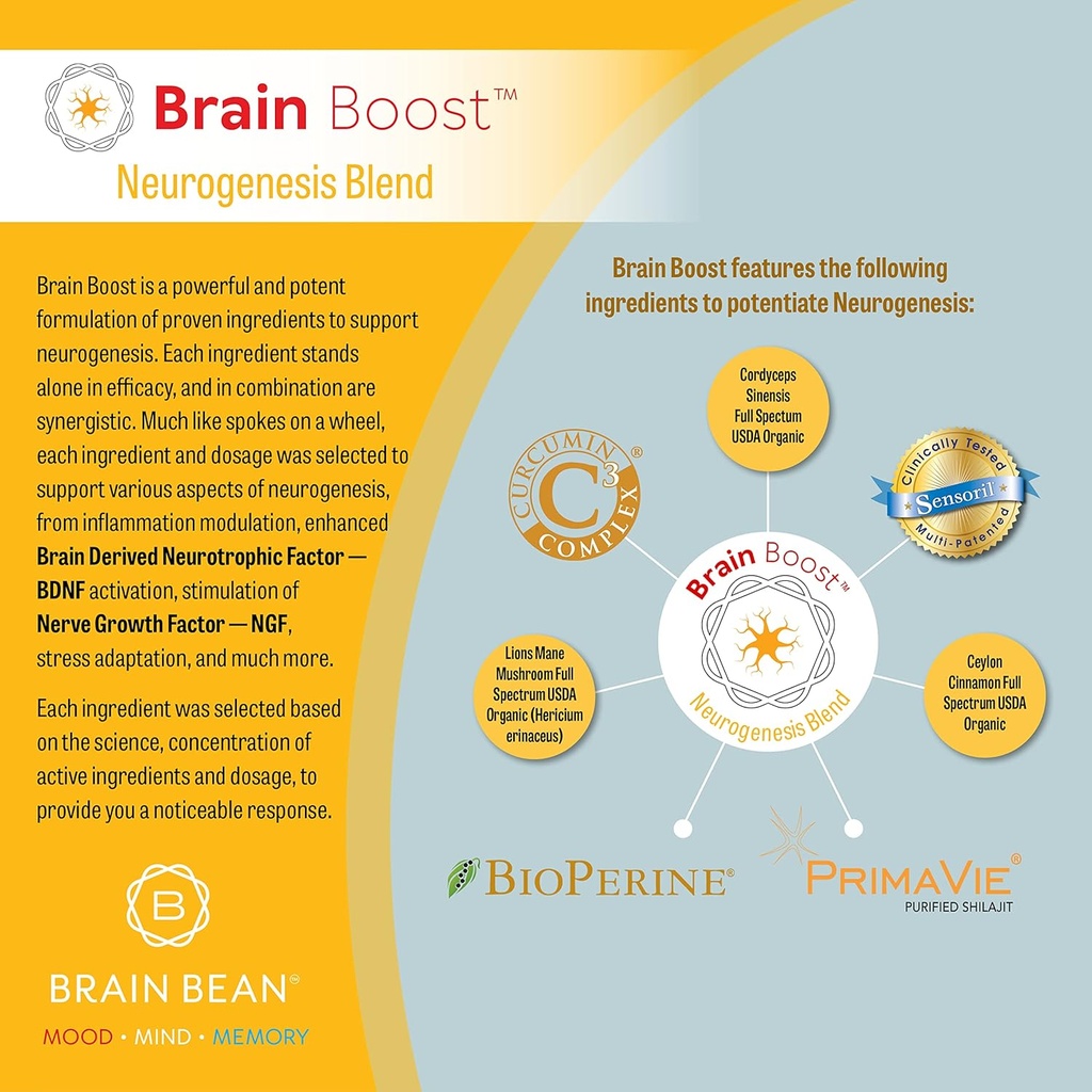 Brain Boost Capsules | with Curcumin, Cordyceps, Hericium, Ceylon Cinnamon, Purified Shilajit, and Ashwagandha | 30 Servings 3