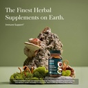 Gaia Herbs Respiratory Mushroom Blend - Immune Support Herbal Supplement to Help Maintain Overall Lung and Respiratory Health - WIth Reishi and Cordyceps* Mushrooms - 40 Vegan Capsules (40-Day Supply) 3