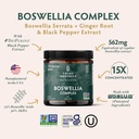 REVITALIZE Trio - Turmeric C3 Complex, Boswellia Complex, Organic Moringa - Immunity Support, Detox, Liver & Digestive Support 4