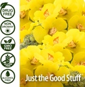 Nature's Answer Mullein X Kids Cough Syrup 4 Ounce - Soothes Coughs, Clears Mucus, Respiratory & Lung Support, Non GMO, Gluten Free, Non Drowsy, Mucus Relief - Natural Honey Flavor 5