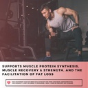 hays-naturals-buildup---advanced-amino-a-6.jpg