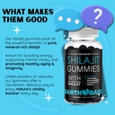 himalayan-shilajit-with-lion-s-mane-ashw-3.jpg