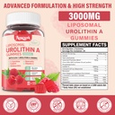 1-pack-3000mg-liposomal-urolithin-a-8-in-2.jpg