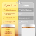 kynis-co-mullein-gummies-for-overall-wel-4.jpg