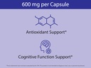 koyah-organic-wild-blueberry-capsules-fr-6.jpg