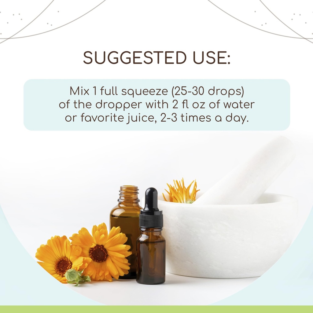 herbera-uva-ursi-organic-tincture-alcoho-2.jpg