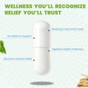 h-pylori-stomach-comfort-probiotic-l-reu-4.jpg