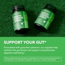 grass-fed-colostrum-supplement-for-immun-4.jpg
