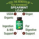 peak-performance-usda-organic-spearmint--2.jpg
