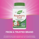 nature-s-way-raspberry-leaf-traditional--5.jpg