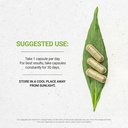 secrets-of-the-tribe-thyme-60-capsules-m-3.jpg
