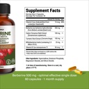 wonder-family-berberine-500-mg-glp-1-wei-2.jpg