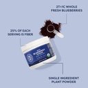 vimergy-wild-blueberry-powder-protects-b-3.jpg
