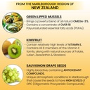 omega-3-new-zealand-green-lipped-mussel--5.jpg