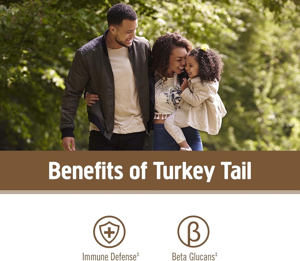 om-mushroom-superfood-turkey-tail-organi-3.jpg