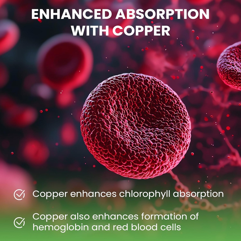 wellpath-chlorophyll-liquid-drops-with-c-6.jpg