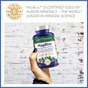 purity-products-magblue-ultimate-h-a-mag-6.jpg