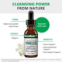 nutramedix-pinella---liquid-anise-drops--4.jpg