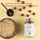 ever-sea-moss-calm-support-gummies-bundl-5.jpg