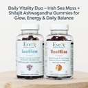 ever-sea-moss-calm-support-gummies-bundl-2.jpg