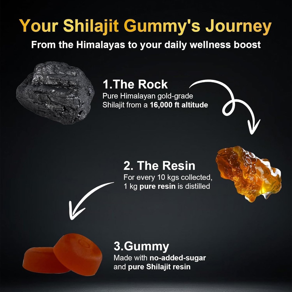 vitacore-himalayan-shilajit-gummies-for--4.jpg