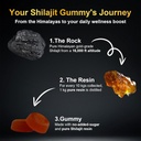 vitacore-himalayan-shilajit-gummies-for--4.jpg