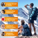 shilajit-gummies-1000mg-sugar-free-shila-3.jpg