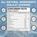 shilajit-gummies-1000mg-sugar-free-shila-2.jpg