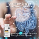 hormone-balance-candease-matrix-kidney-c-2.jpg
