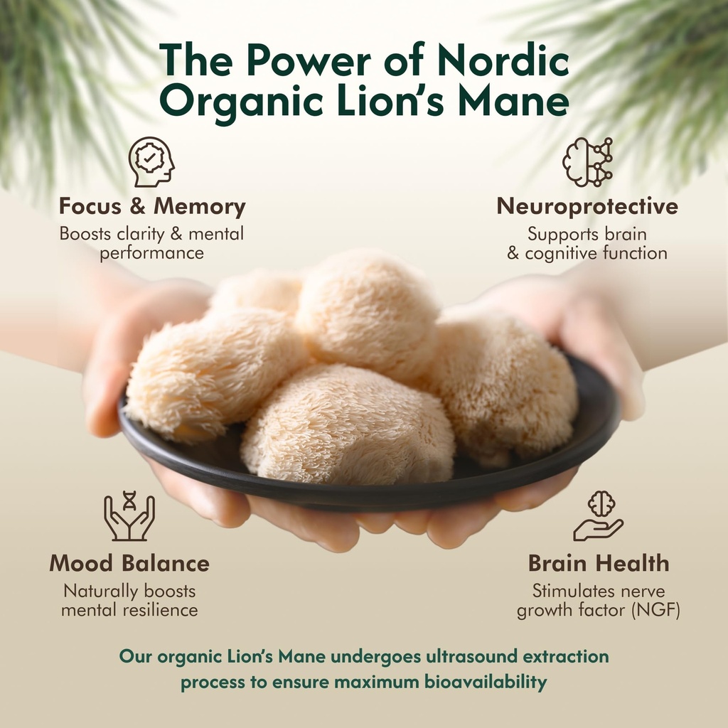 organic-lion-s-mane-ultrasound-extract-c-3.jpg