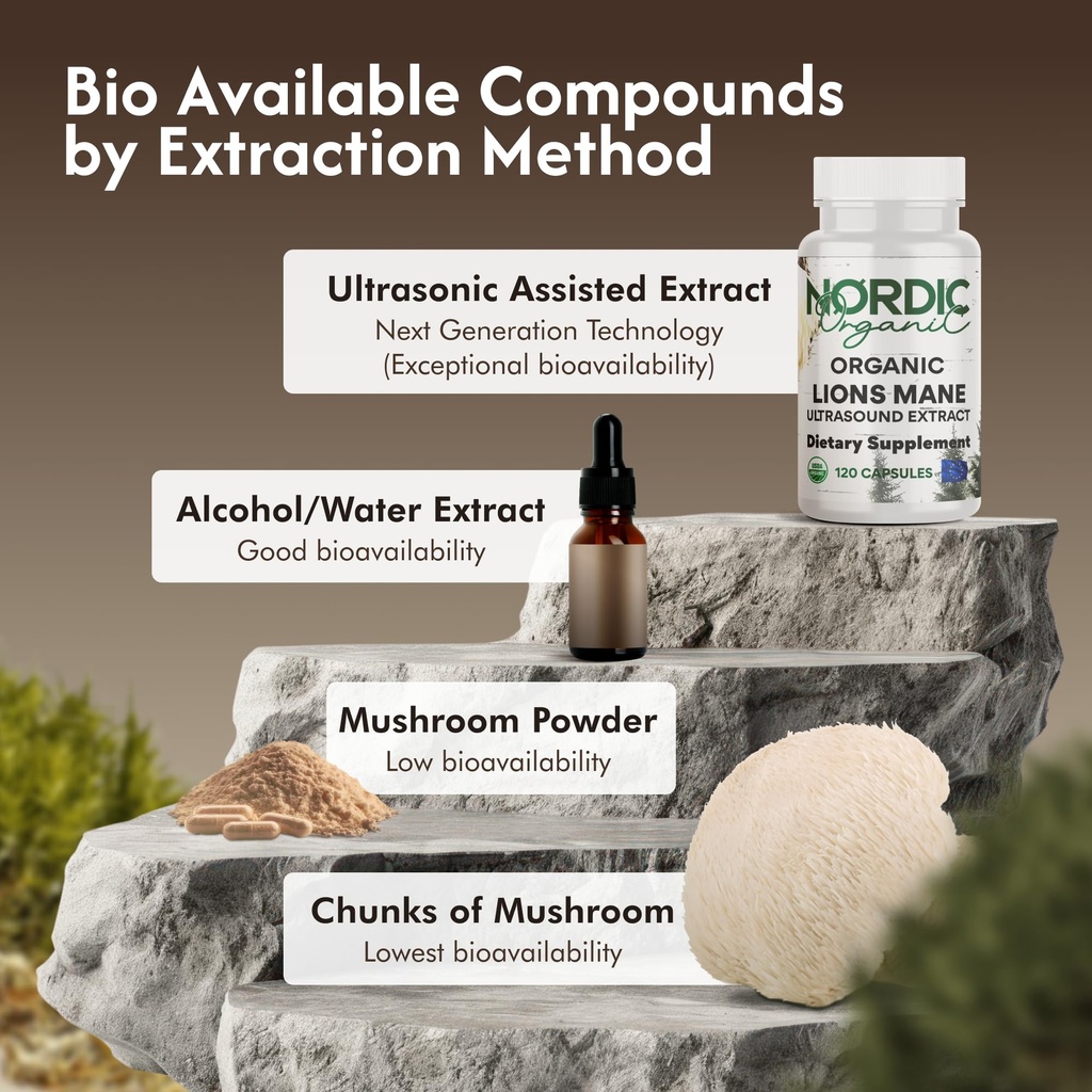 organic-lion-s-mane-ultrasound-extract-c-4.jpg
