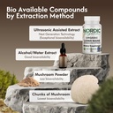organic-lion-s-mane-ultrasound-extract-c-4.jpg